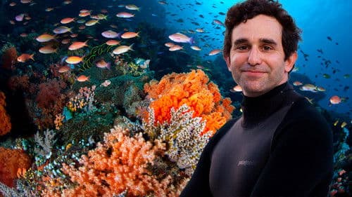 Best Job Ever Bild 4