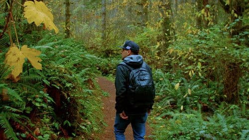 maɬni—towards the ocean, towards the shore Bild 4