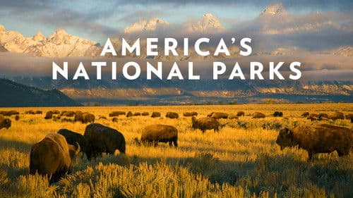 Amerikas Nationalparks Bild 2