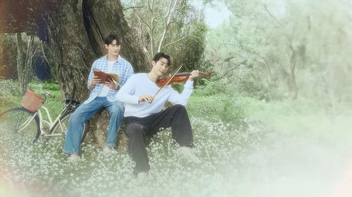 Melody of Secrets Bild 3