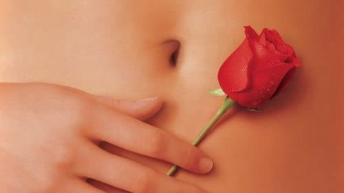 American Beauty Bild 2