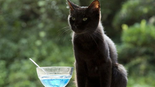 ねこあつめの家 Bild 2