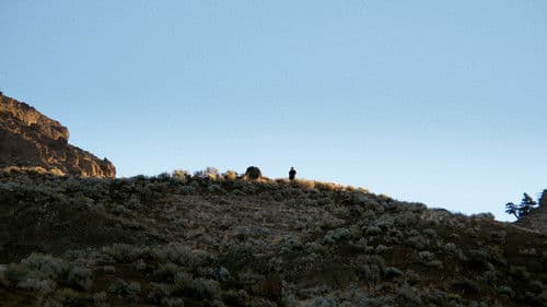 A Fools Paradise Bild 1