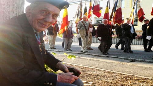 Trois journées d'août 1914, les murs de Dinant Bild 1