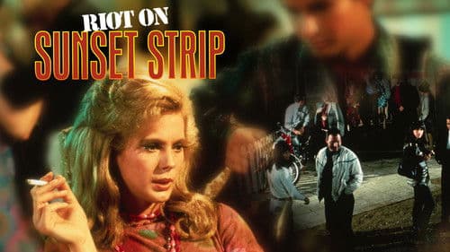 Riot on Sunset Strip Bild 5