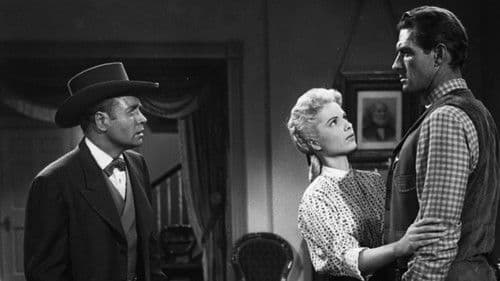 Schüsse peitschen durch die Nacht Bild 2