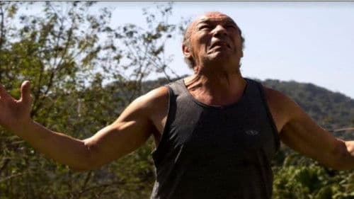 Canonização Bild 1