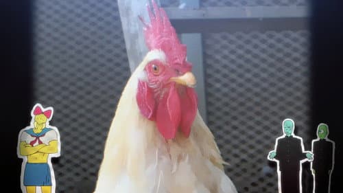 庭には二羽ニワトリがいた。 Bild 6