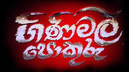 Gini Mal Pokuru Bild 2