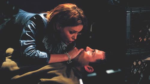 Wild Christmas Bild 2