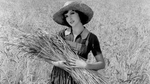 Unser täglich Brot Bild 7