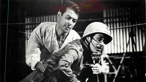 風速七十五米 Bild 1