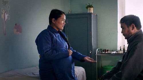 Out of Paradise Bild 4