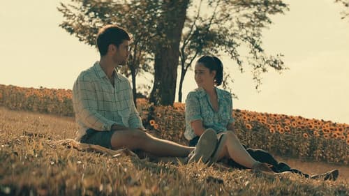 Jardim dos Girassóis Bild 7