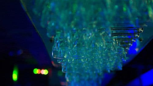 In Jackson Heights Bild 3