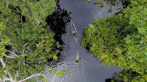 Frontier Sumatra Bild 1