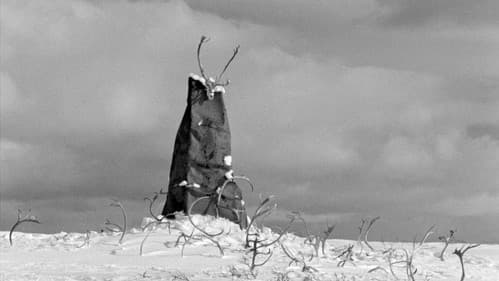 Das weiße Rentier Bild 8