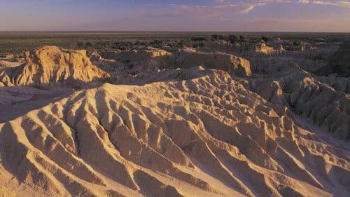 Message from Mungo Bild 1