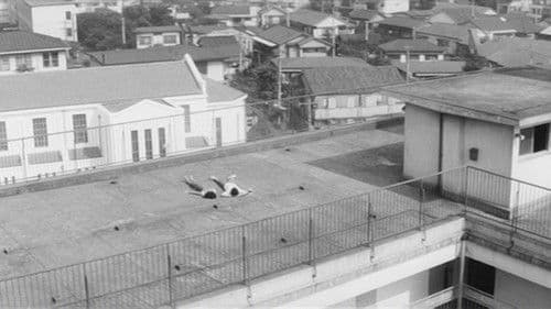 Zwei Mal Jungfrau Bild 6