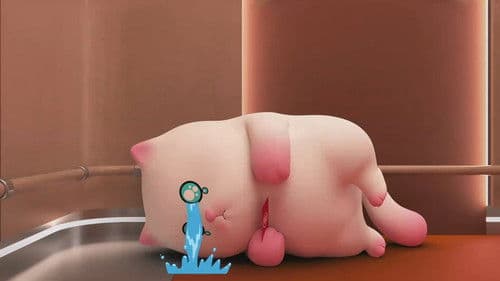 薇薇猫的日常 Bild 5