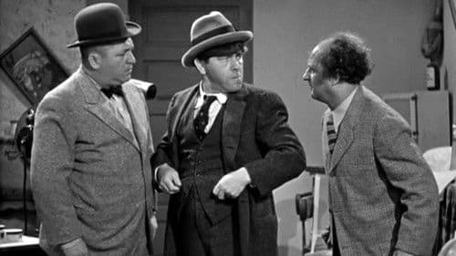 Cookoo Cavaliers Bild 2