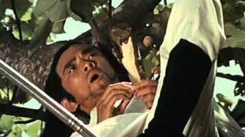 Haruschi - das blanke Schwert der Rache Bild 3