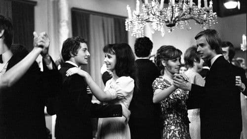 Moje sestra je cvok Bild 2