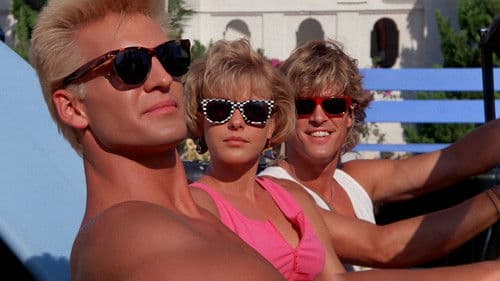 Nachtschwärmer Bild 1