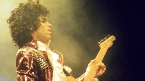 Prince: 1999 Live In Houston 12-29-82 Bild 1