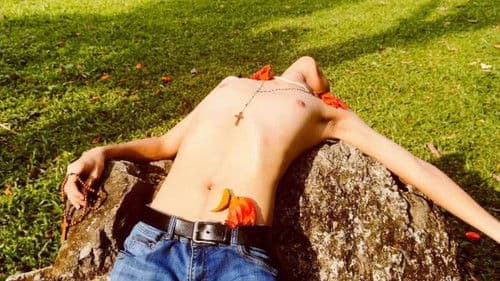 HonesTEA is the Best Policy! Bild 1