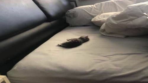 Florentina's Workout Naif Bild 3