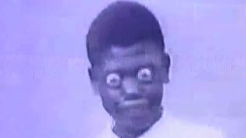 No Sense Makes Sense Bild 1