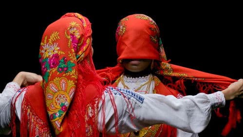 Rosinha e Outros Bichos do Mato Bild 3