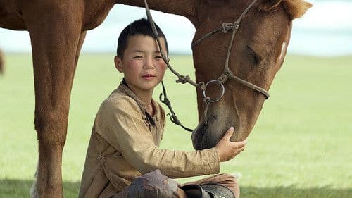 Хийморь Bild 2