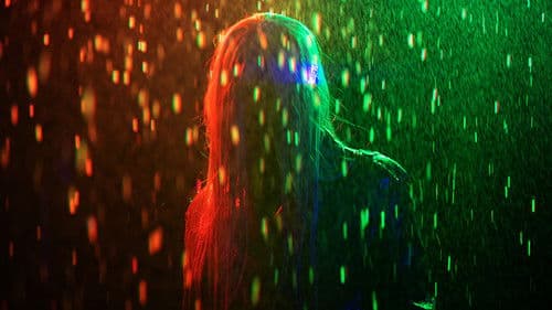 That's a Wrap Bild 1