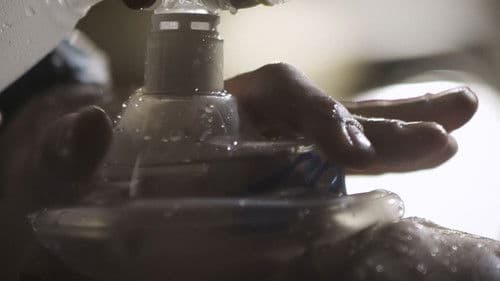 Upstream Color Bild 2