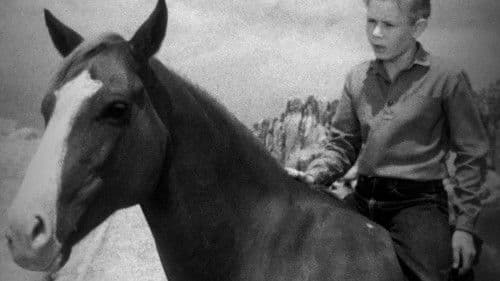 The Adventures of Champion Bild 2