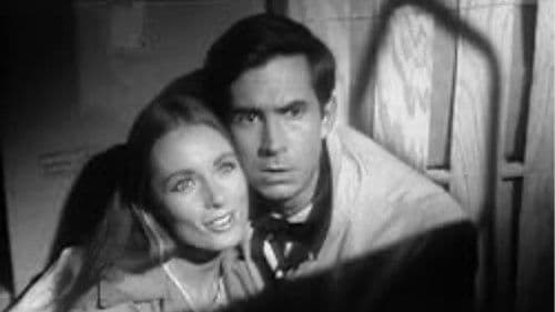 Evening Primrose Bild 2