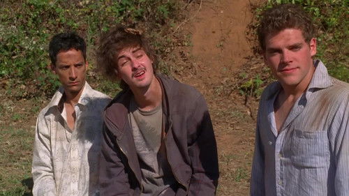 Road Trip - Beer Pong Bild 6