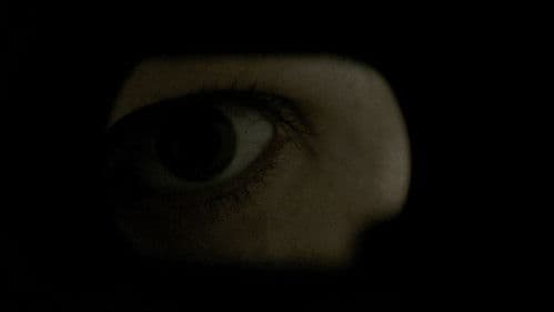 Self Isolated Bild 2