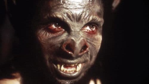 Bat People – Die Blutsauger Bild 3