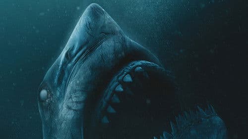 47 Meters Down: Uncaged Bild 4