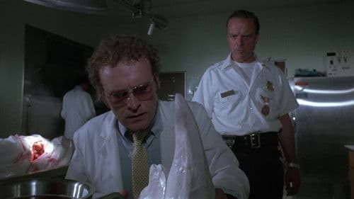 Der Monster-Hai Bild 4