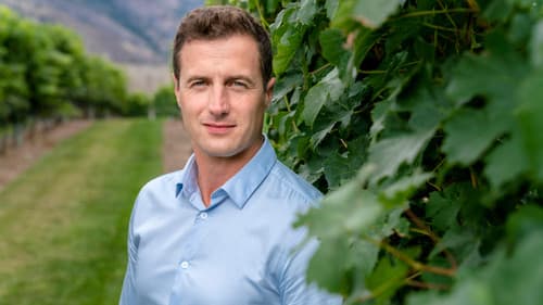 Autumn in the Vineyard Bild 8