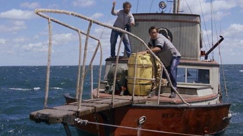 Der weiße Hai Bild 3