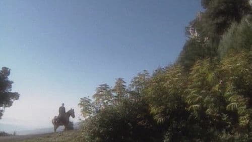 St. Gerard Majella: A Saint for Our Times Bild 1