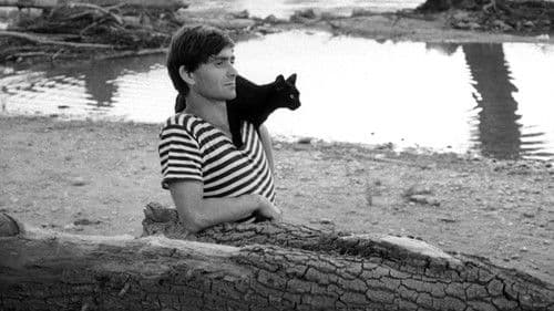 Panna zázračnica Bild 1