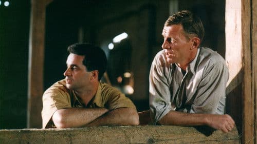 Zdivočelá země Bild 1