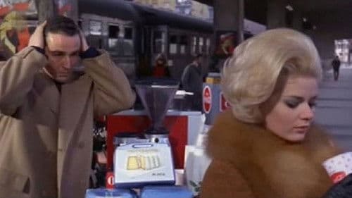 So ein Windhund Bild 3