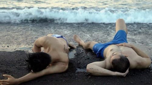 The Sun, the Moon and the Hurricane Bild 2